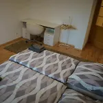 Spacious For Teams & Families With Balcony, Fast Wifi Near Center ברטיסלאבה