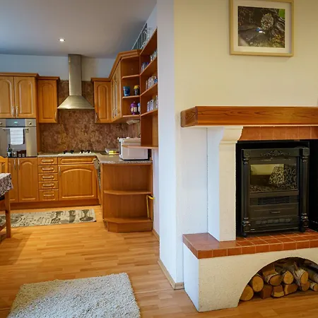 Spacious With A Fireplace In The Appartement Bratislava