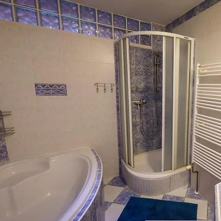 Appartement Spacious With A Fireplace In The *