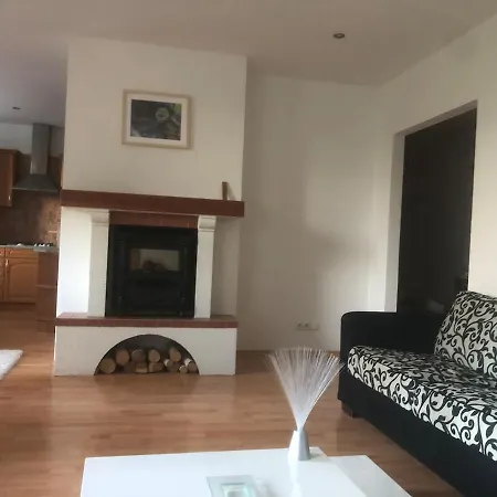 Spacious With A Fireplace In The Appartement