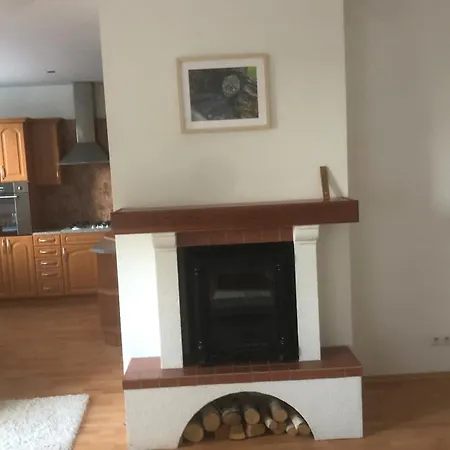 Spacious With A Fireplace In The Appartement *
