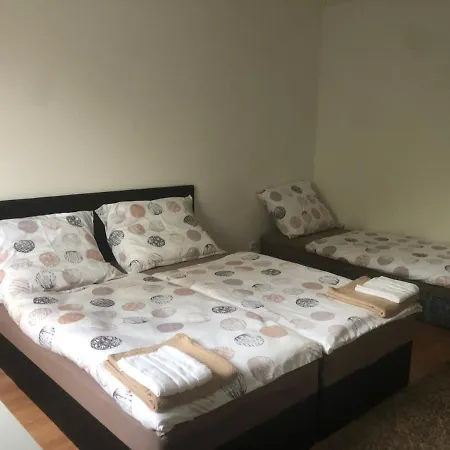 Spacious With A Fireplace In The Appartement *