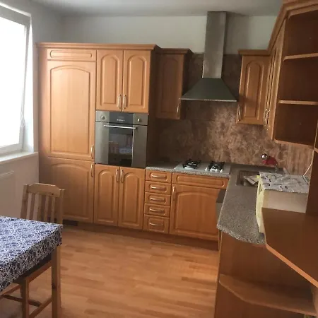 شقة Spacious With A Fireplace In The براتسيلافا