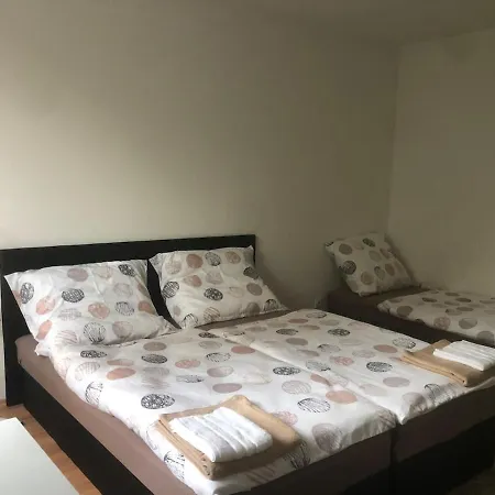 Spacious With A Fireplace In The