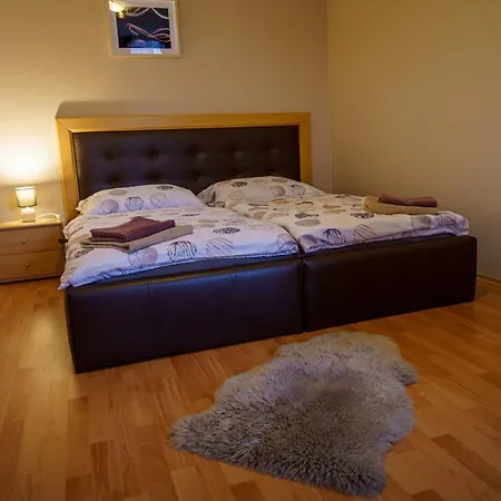 Spacious With A Fireplace In The