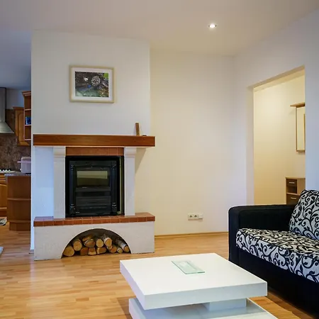 Spacious With A Fireplace In The Братислава