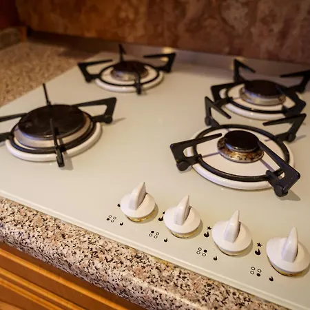 Appartement Spacious With A Fireplace In The