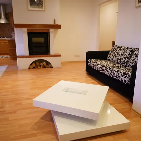 Appartement Spacious With A Fireplace In The *