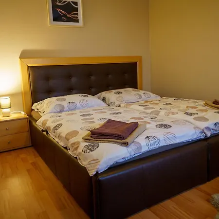 Spacious With A Fireplace In The Appartement Bratislava