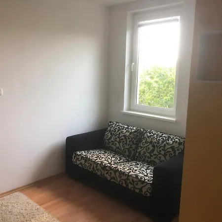 Spacious With A Fireplace In The Appartement *