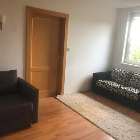 Spacious With A Fireplace In The